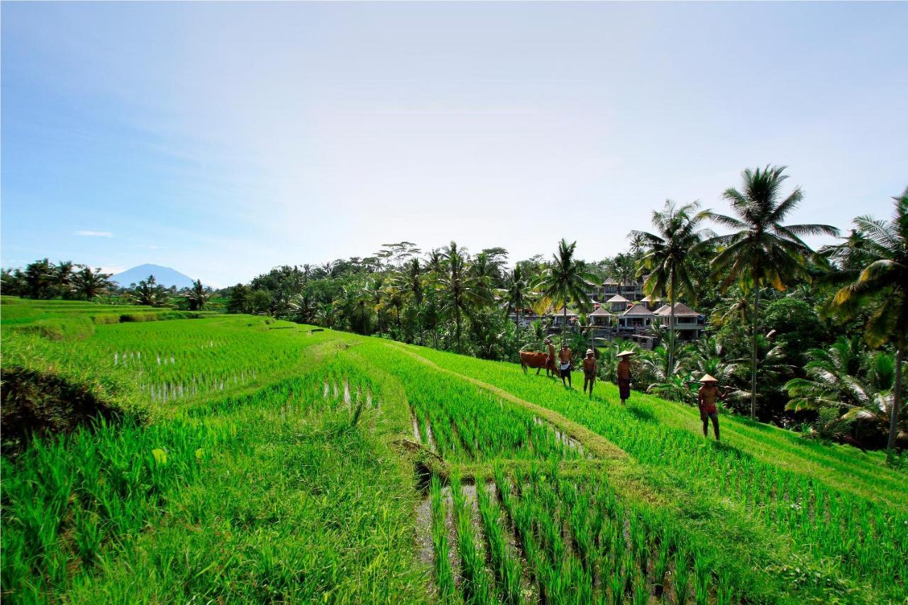 Puri Sebali Resort Ubud Esterno foto